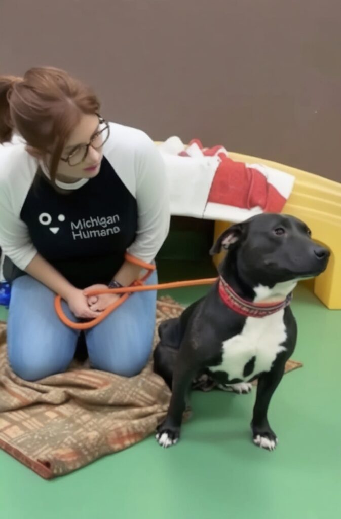 woman-and-black-and-white-dog