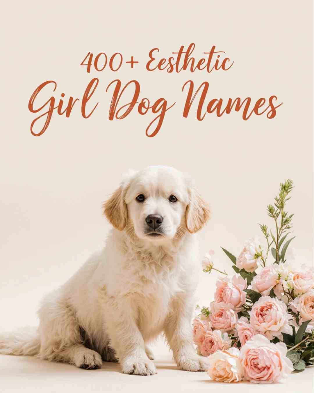 400+ Best Aesthetic Girl Dog Names.