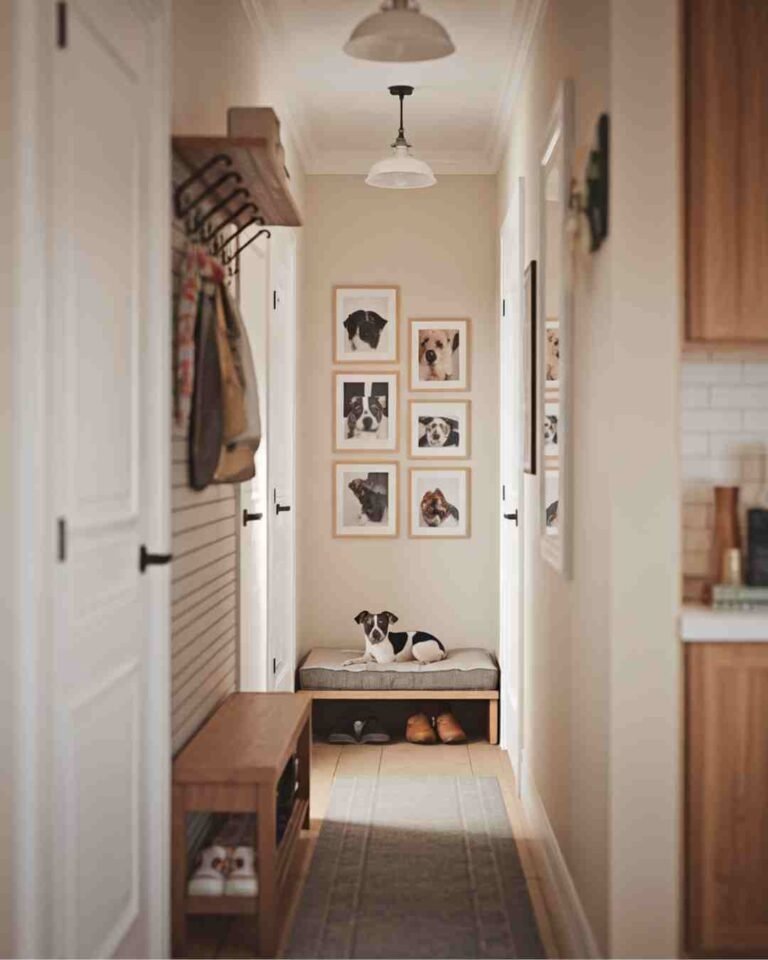 14 Dog Room Ideas for Small Spaces (Apartment-Friendly Tips)