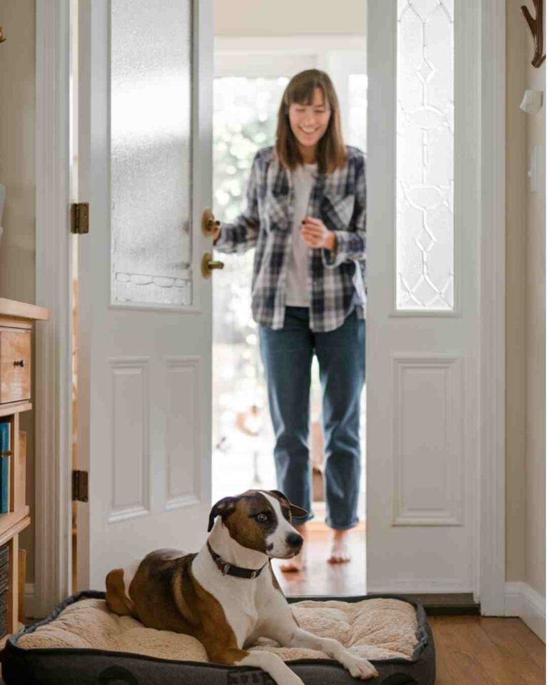 How to stop a dog from jumping when excited